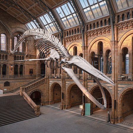 National History Museum